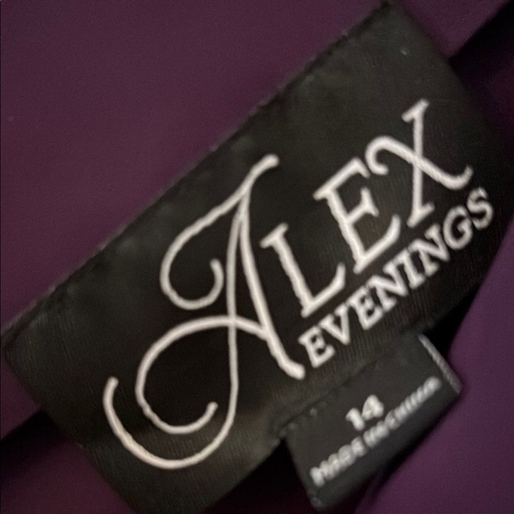 NWT Alex Evenings Plum Purple Embellished Dress 14 - Picture 4 of 6